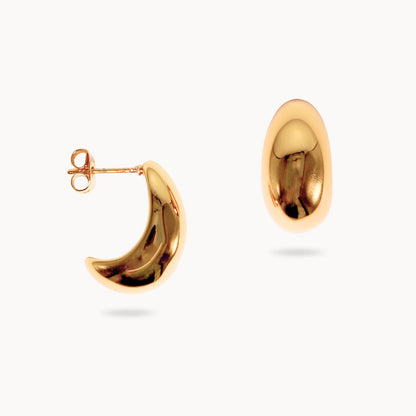 Smooth Shell Earring